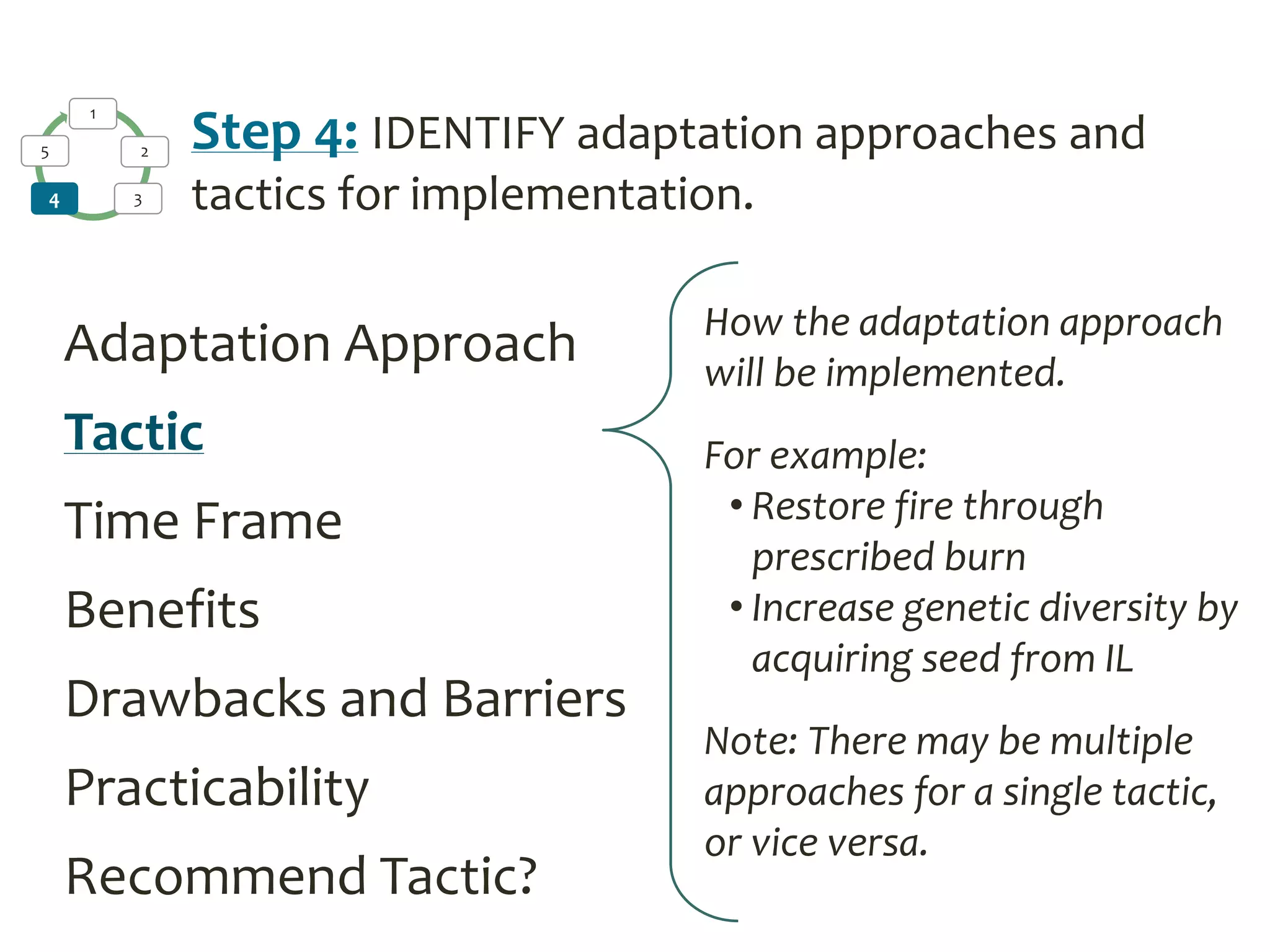 1
2
34
5 Step 4: IDENTIFY adaptation approaches and
tactics for implementation.
Adaptation Approach
Tactic
Time Frame
Benefits
Drawbacks and Barriers
Practicability
Recommend Tactic?
How the adaptation approach
will be implemented.
For example:
• Restore fire through
prescribed burn
• Increase genetic diversity by
acquiring seed from IL
Note: There may be multiple
approaches for a single tactic,
or vice versa.
 