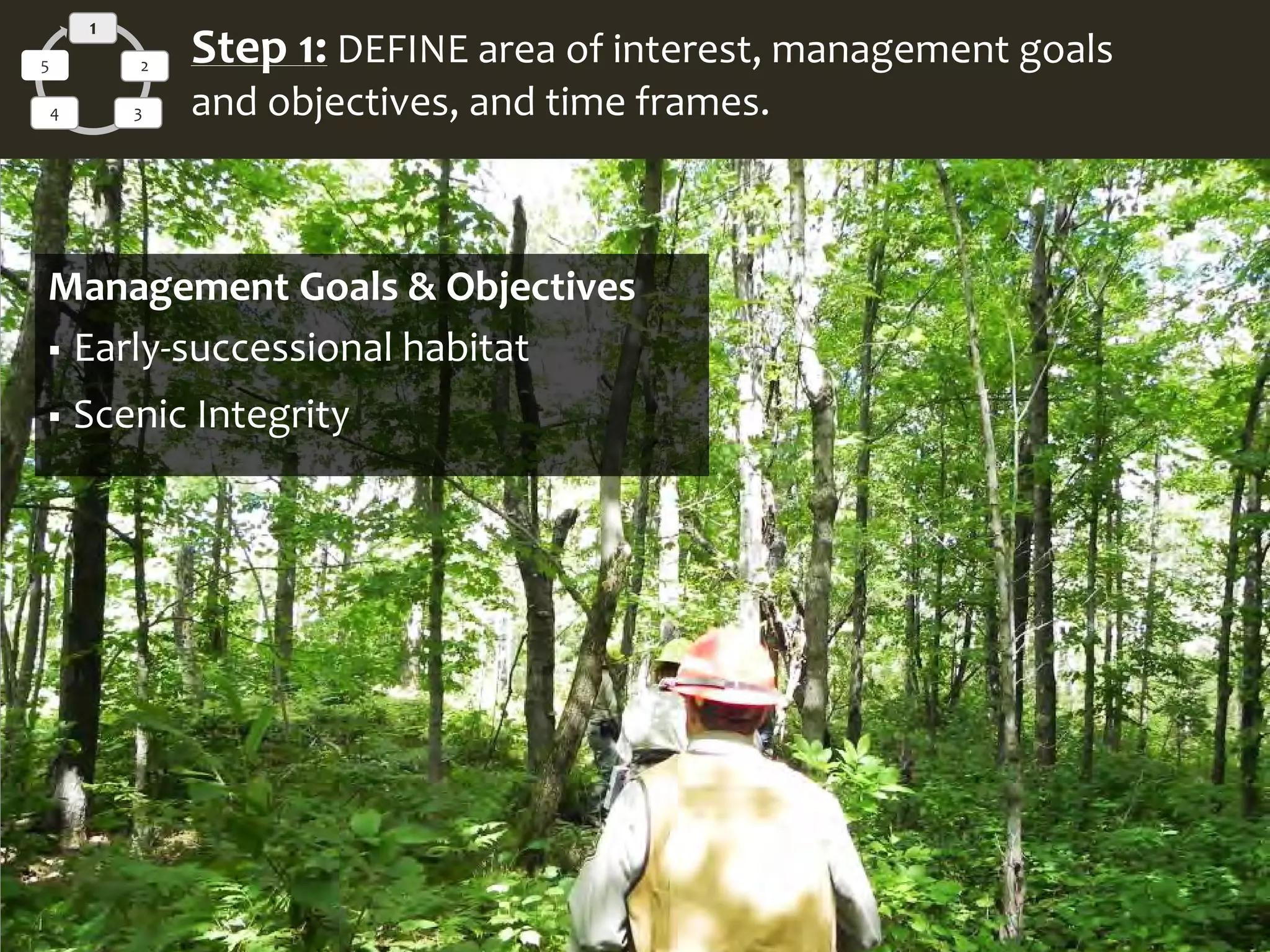 1
2
34
5 Step 1: DEFINE area of interest, management goals
and objectives, and time frames.
Management Goals & Objectives
 Early-successional habitat
 Scenic Integrity
 