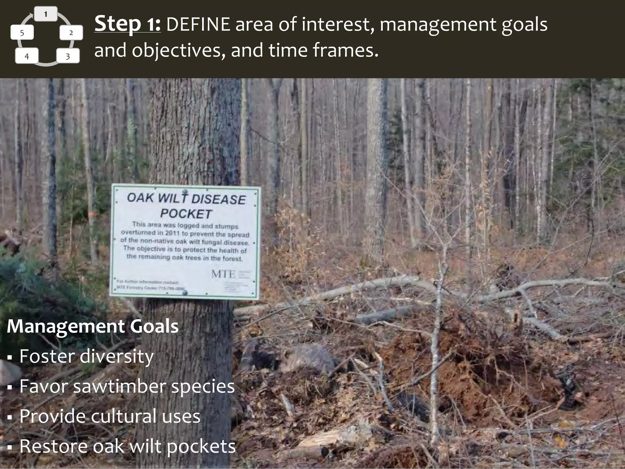 Management Goals
 Foster diversity
 Favor sawtimber species
 Provide cultural uses
 Restore oak wilt pockets
1
2
34
5 Step 1: DEFINE area of interest, management goals
and objectives, and time frames.
 