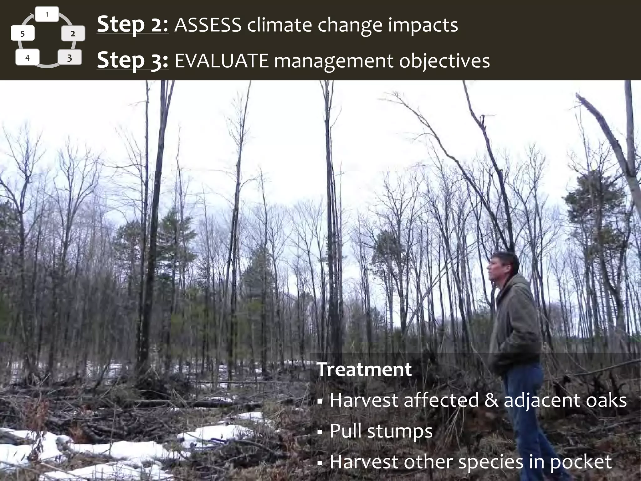 1
2
34
5 Step 2: ASSESS climate change impacts
Step 3: EVALUATE management objectives
Treatment
 Harvest affected & adjacent oaks
 Pull stumps
 Harvest other species in pocket
 