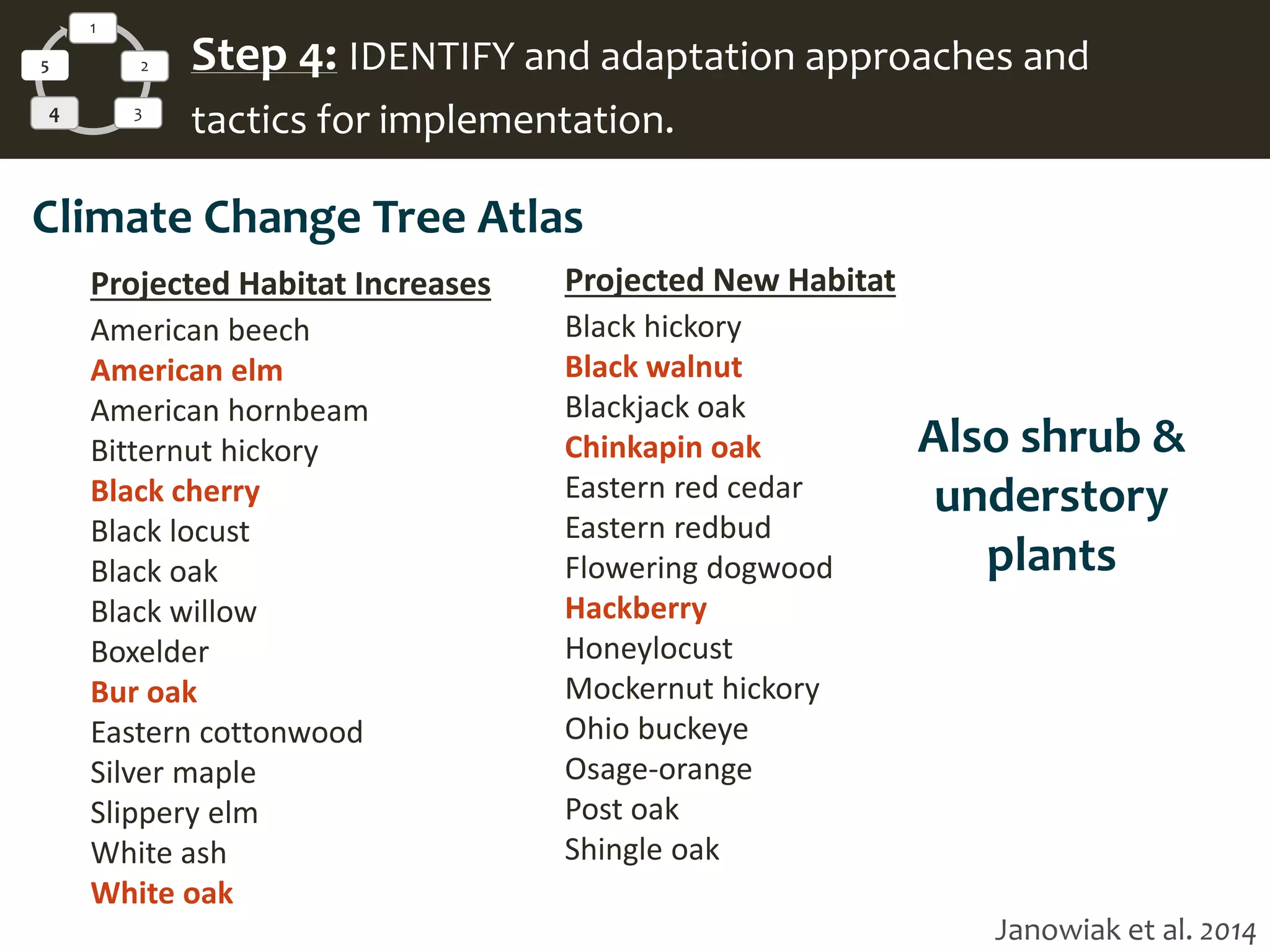Projected Habitat Increases
American beech
American elm
American hornbeam
Bitternut hickory
Black cherry
Black locust
Black oak
Black willow
Boxelder
Bur oak
Eastern cottonwood
Silver maple
Slippery elm
White ash
White oak
Projected New Habitat
Black hickory
Black walnut
Blackjack oak
Chinkapin oak
Eastern red cedar
Eastern redbud
Flowering dogwood
Hackberry
Honeylocust
Mockernut hickory
Ohio buckeye
Osage-orange
Post oak
Shingle oak
Also shrub &
understory
plants
1
2
34
5 Step 4: IDENTIFY and adaptation approaches and
tactics for implementation.
Climate Change Tree Atlas
Janowiak et al. 2014
 