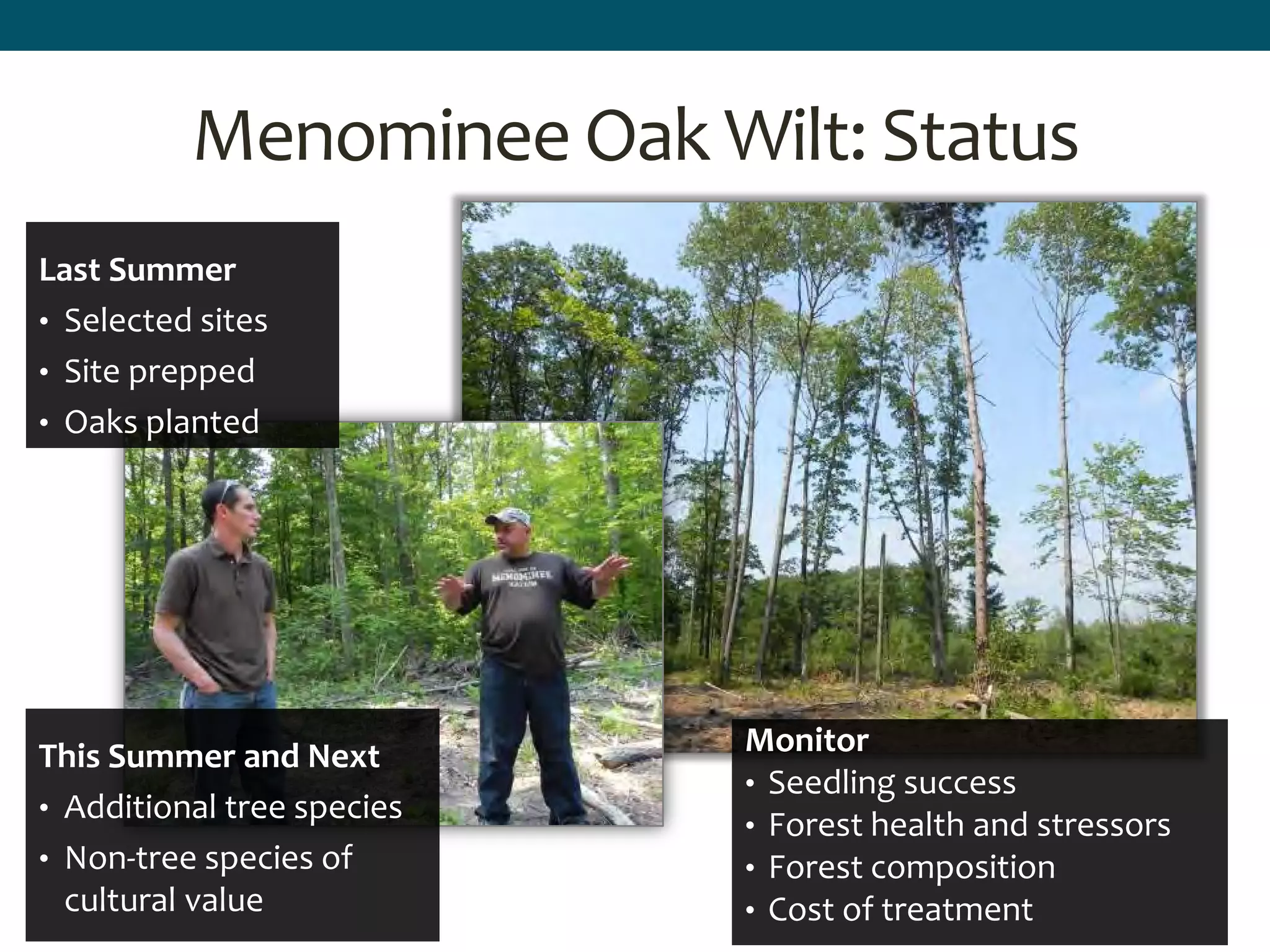 Menominee Oak Wilt: Status
Last Summer
• Selected sites
• Site prepped
• Oaks planted
Monitor
• Seedling success
• Forest health and stressors
• Forest composition
• Cost of treatment
This Summer and Next
• Additional tree species
• Non-tree species of
cultural value
 