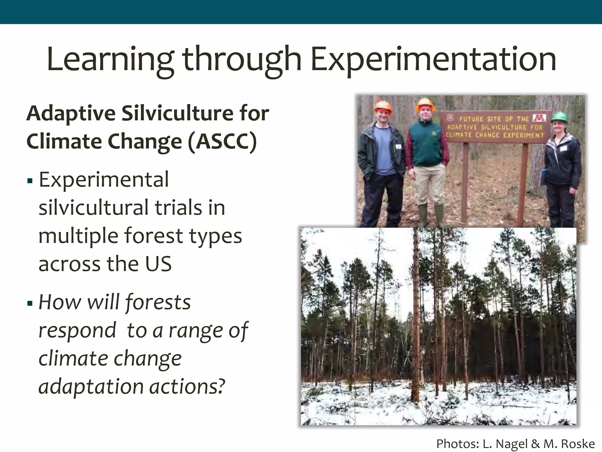 Learning through Experimentation
Adaptive Silviculture for
Climate Change (ASCC)
 Experimental
silvicultural trials in
multiple forest types
across the US
 How will forests
respond to a range of
climate change
adaptation actions?
Photos: L. Nagel & M. Roske
 