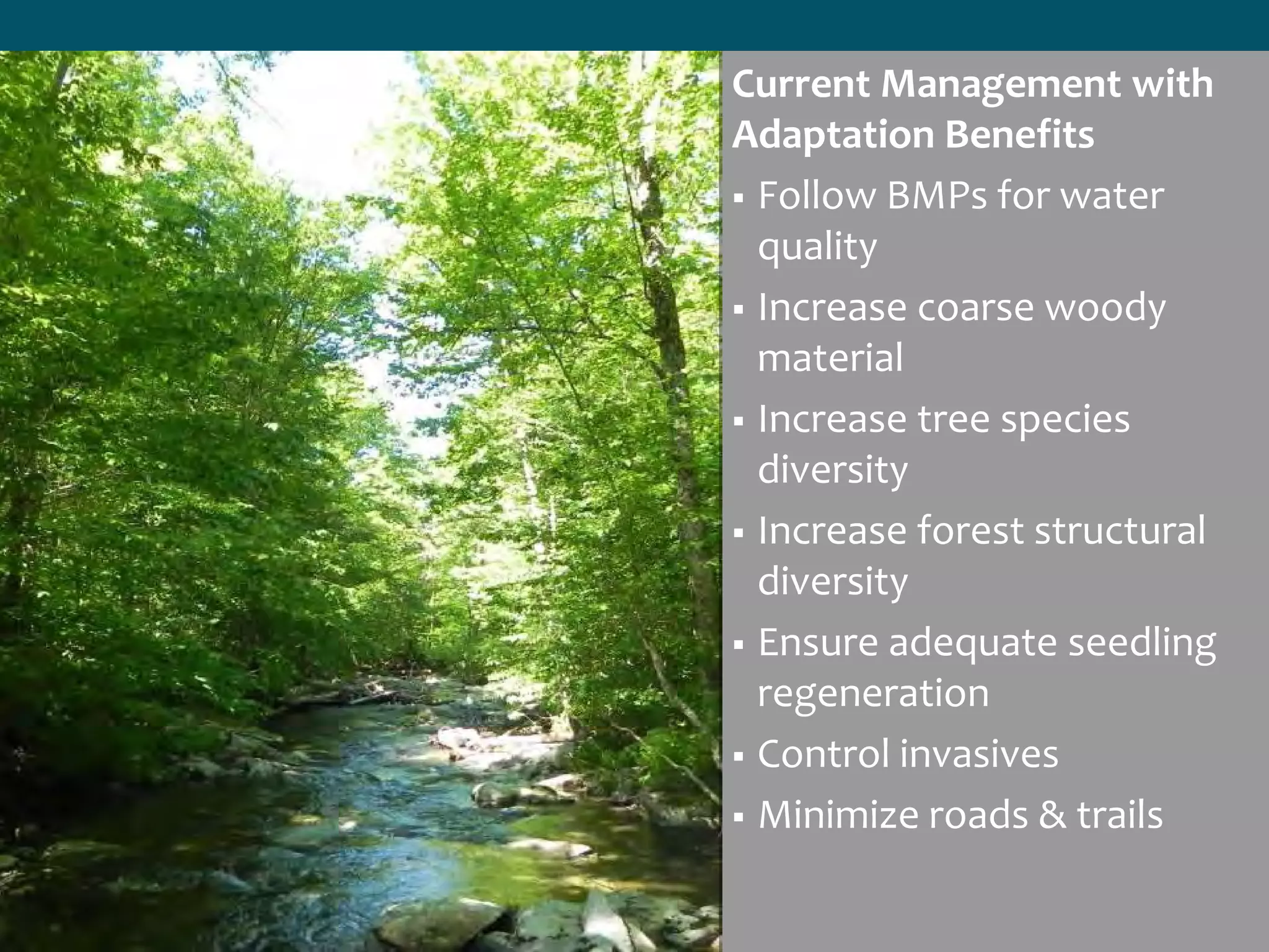 Current Management with
Adaptation Benefits
 Follow BMPs for water
quality
 Increase coarse woody
material
 Increase tree species
diversity
 Increase forest structural
diversity
 Ensure adequate seedling
regeneration
 Control invasives
 Minimize roads & trails
 
