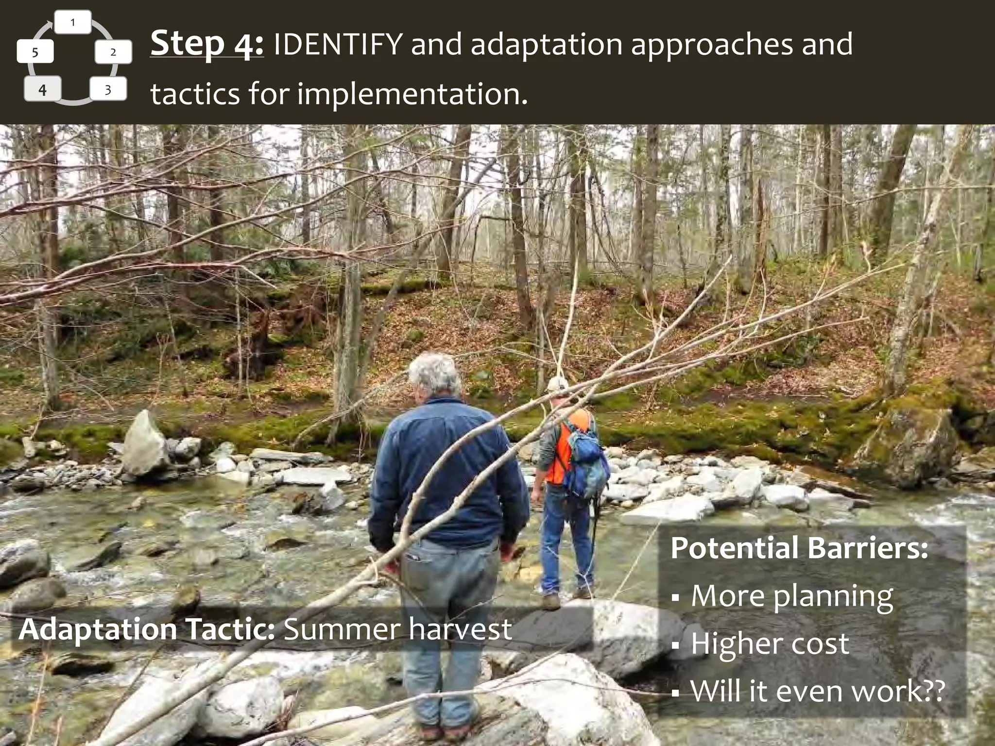 Potential Barriers:
 More planning
 Higher cost
 Will it even work??
Adaptation Tactic: Summer harvest
1
2
34
5 Step 4: IDENTIFY and adaptation approaches and
tactics for implementation.
 