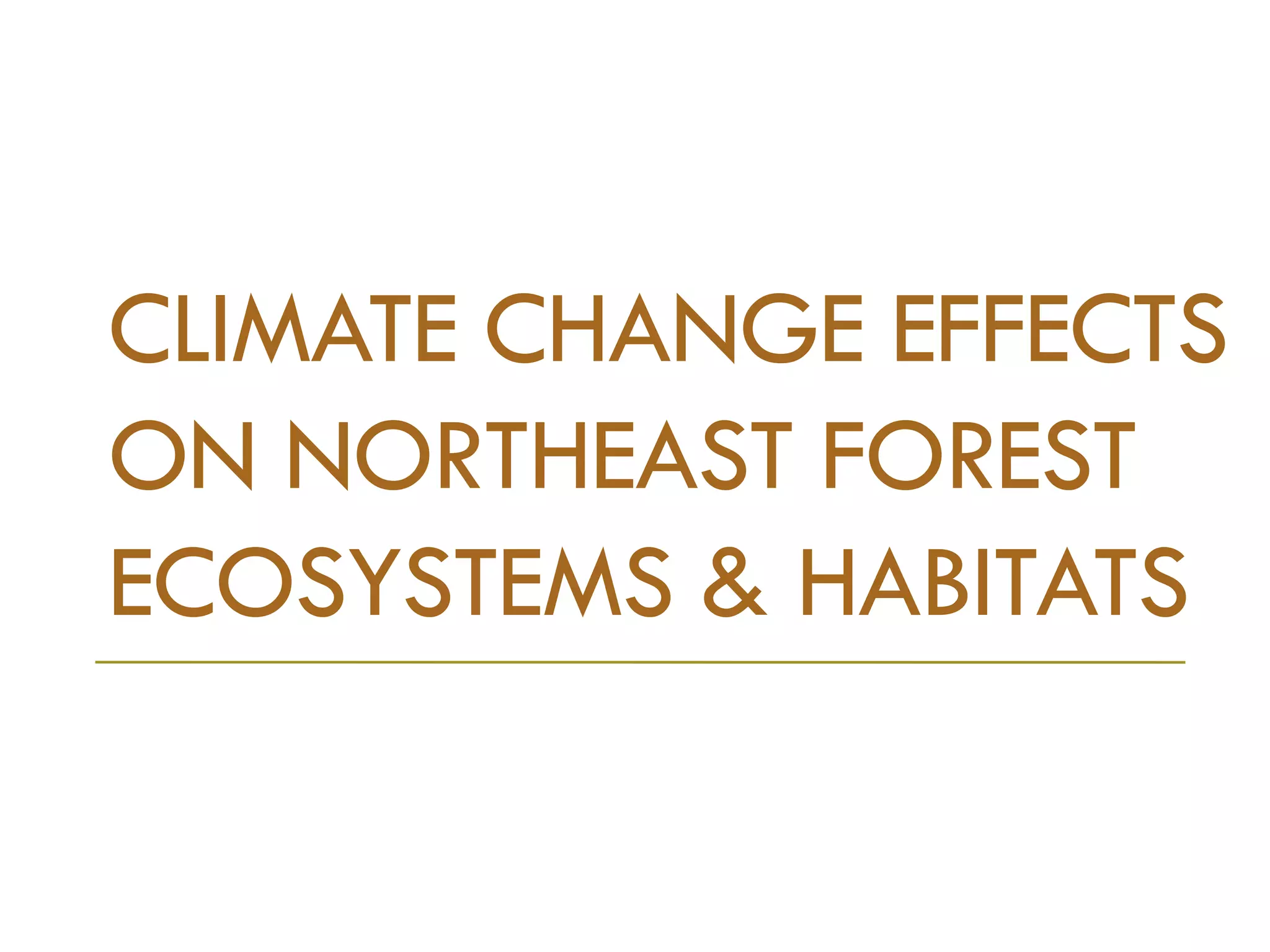 CLIMATE CHANGE EFFECTS
ON NORTHEAST FOREST
ECOSYSTEMS & HABITATS
 