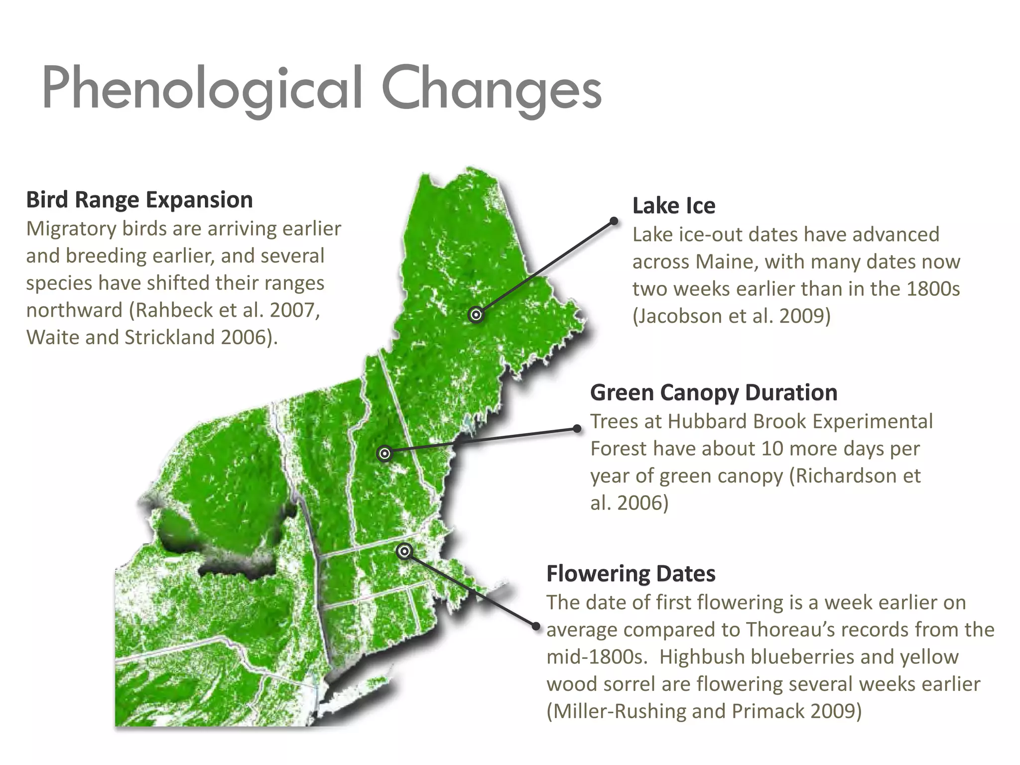 Green Canopy Duration
Trees at Hubbard Brook Experimental
Forest have about 10 more days per
year of green canopy (Richardson et
al. 2006)
Bird Range Expansion
Migratory birds are arriving earlier
and breeding earlier, and several
species have shifted their ranges
northward (Rahbeck et al. 2007,
Waite and Strickland 2006).
Flowering Dates
The date of first flowering is a week earlier on
average compared to Thoreau’s records from the
mid-1800s. Highbush blueberries and yellow
wood sorrel are flowering several weeks earlier
(Miller-Rushing and Primack 2009)
Lake Ice
Lake ice-out dates have advanced
across Maine, with many dates now
two weeks earlier than in the 1800s
(Jacobson et al. 2009)
Phenological Changes
 