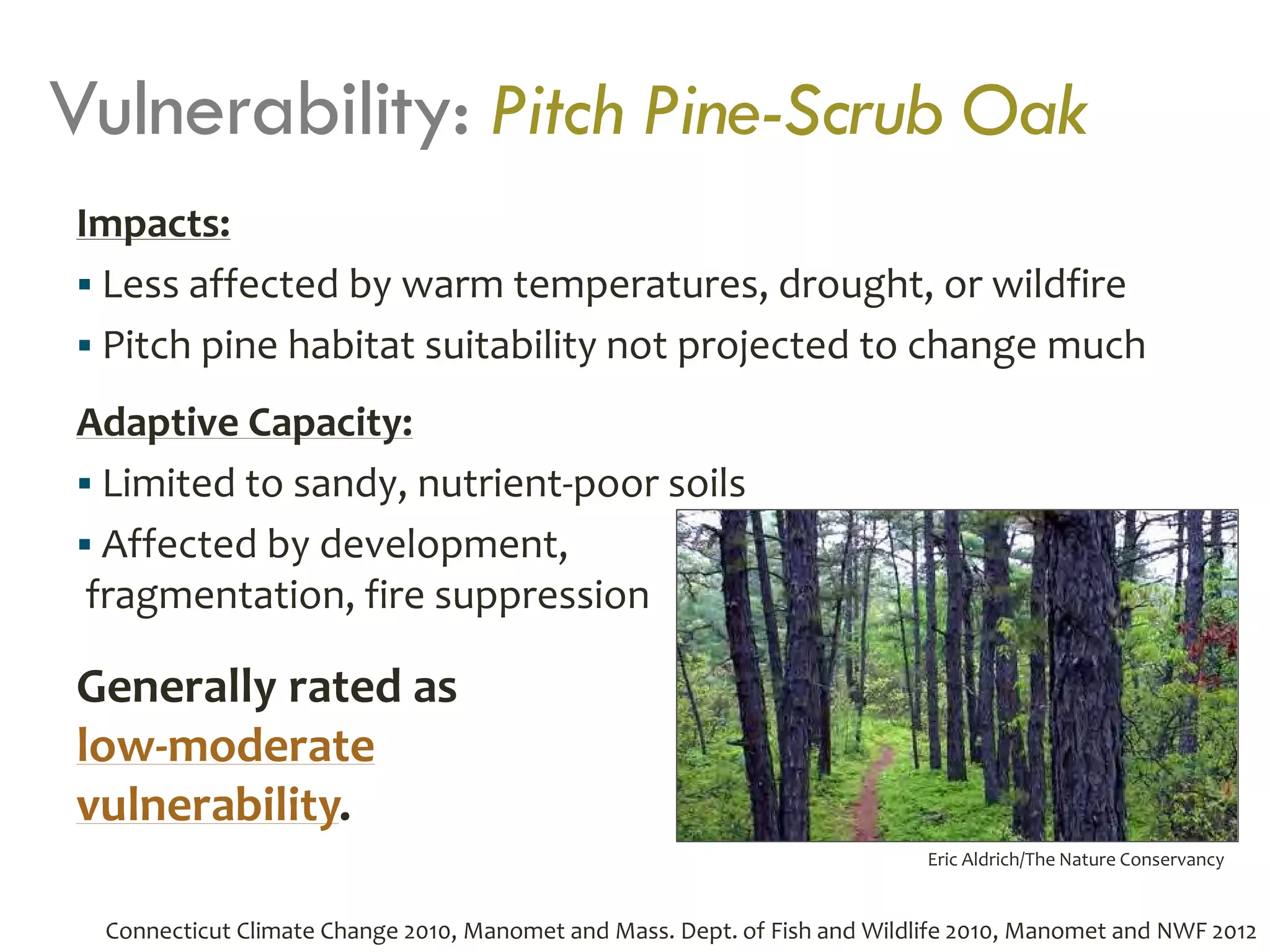Vulnerability: Pitch Pine-Scrub Oak
Impacts:
 Less affected by warm temperatures, drought, or wildfire
 Pitch pine habitat suitability not projected to change much
Adaptive Capacity:
 Limited to sandy, nutrient-poor soils
 Affected by development,
fragmentation, fire suppression
Eric Aldrich/The Nature Conservancy
Generally rated as
low-moderate
vulnerability.
Connecticut Climate Change 2010, Manomet and Mass. Dept. of Fish and Wildlife 2010, Manomet and NWF 2012
 