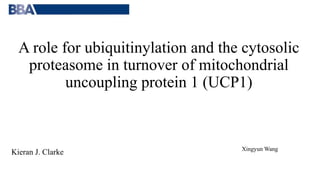 A role for ubiquitinylation and the cytosolic
proteasome in turnover of mitochondrial
uncoupling protein 1 (UCP1)
Kieran J. Clarke Xingyun Wang
 
