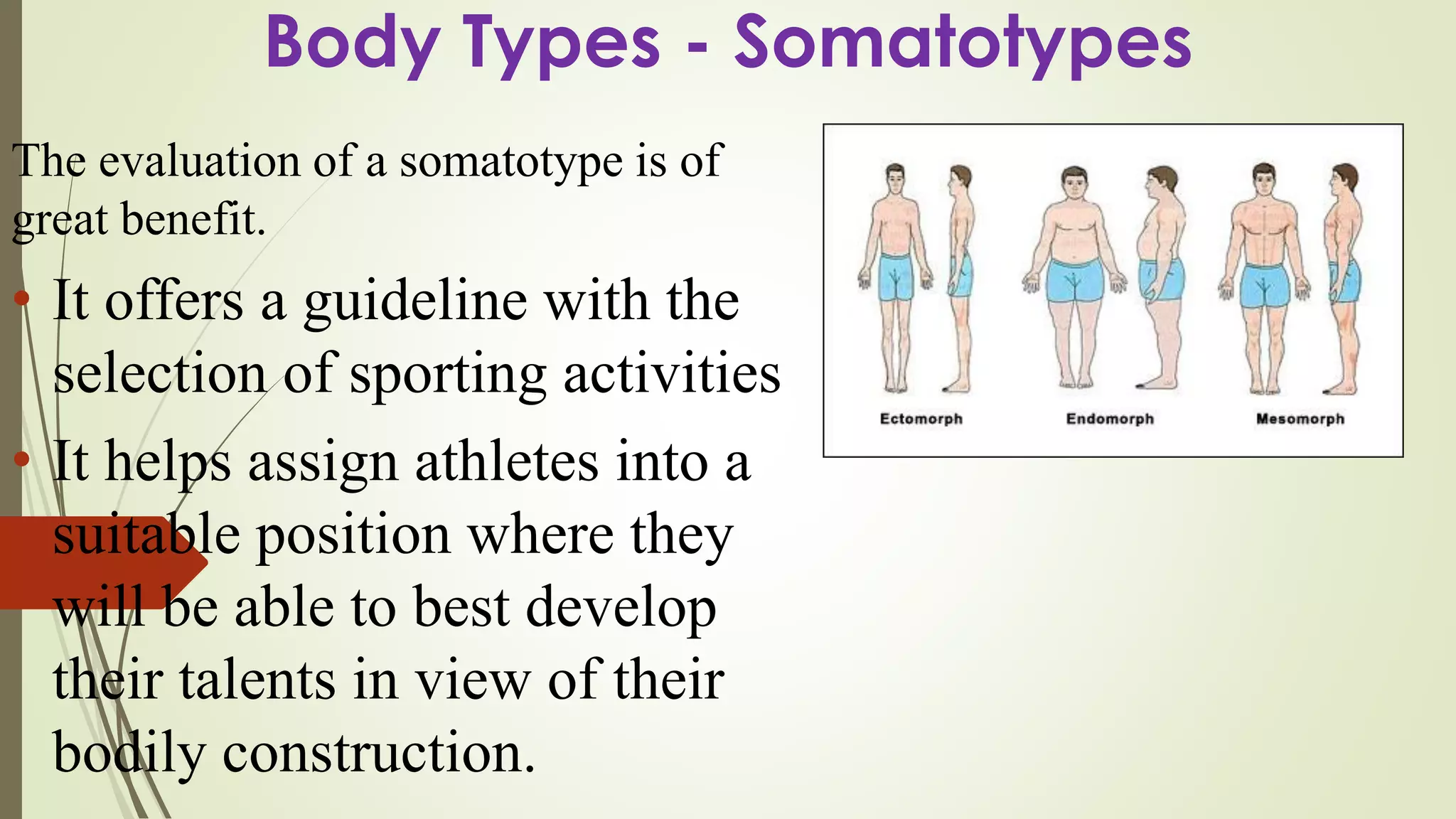 Statotypes Body Types Factors that affect_performance | PDF