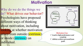 Factors that affect_performance | PDF