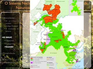 O Sistema Nacional de Unidades de Conservação da
          Natureza (SNUC - Lei nº 9985/2000)

• Antecedentes
  •O primeiro
    modelo
  • Código Florestal
  • A evolução do
    sistema


•O SNUC
  • Objetivos
  • Categorias
  •Gestão

• Recapitulando

•E x p l o r a ç ã o
 complementar
 