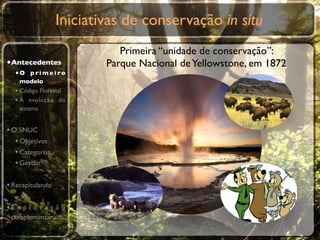 Iniciativas de conservação in situ
                             Primeira “unidade de conservação”:
•Antecedentes             Parque Nacional de Yellowstone, em 1872
  •O p r i m e i r o
    modelo
  • Código Florestal
  • A evolução do
    sistema


• O SNUC
   • Objetivos
   • Categorias
   • Gestão

• Recapitulando

•E x p l o r a ç ã o
 complementar
 
