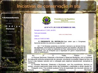 Iniciativas de conservação in situ

•Antecedentes
  •O primeiro
    modelo
  •C ó d i g o
    Florestal
  • A evolução do
    sistema


• O SNUC
   • Objetivos
   • Categorias
   • Gestão

• Recapitulando

•E x p l o r a ç ã o
 complementar
 