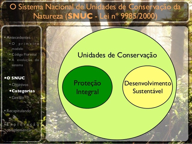 Dieito Ambiental O Que São Unidades De Conservação Dê Exemplos