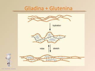 Gliadina + Glutenina Prof. Andretty Coimbra 