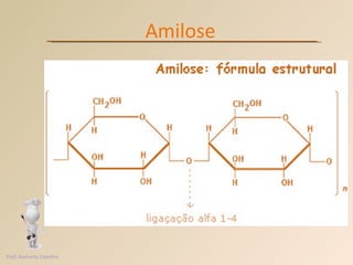 Amilose Prof. Andretty Coimbra 