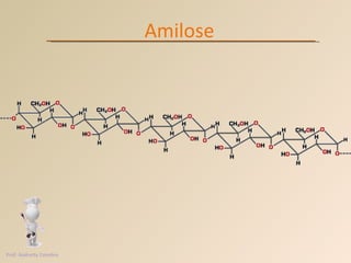 Amilose Prof. Andretty Coimbra 