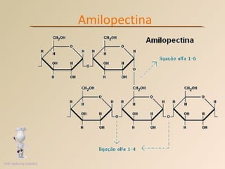 Amilopectina Prof. Andretty Coimbra 