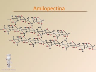 Amilopectina Prof. Andretty Coimbra 