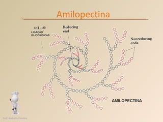 Amilopectina Prof. Andretty Coimbra 