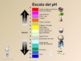 Prof. Andretty Coimbra 