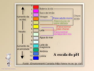 Prof. Andretty Coimbra 