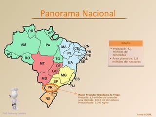 Panorama Nacional Maior Produtor Brasileiro de Trigo: Produ ç ão: 1,9 milhões de toneladas Á rea plantada: 821,3 mil de hectares Produtividade: 2.340 Kg/ha Fonte: CONAB. Prof. Andretty Coimbra 