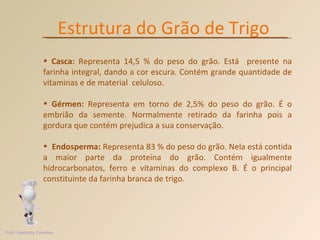 Estrutura do Grão de Trigo Casca:  Representa 14,5 % do peso do grão. Está  presente na farinha integral, dando a cor escura. Contém grande quantidade de vitaminas e de material  celuloso.  Gérmen:  Representa em torno de 2,5% do peso do grão. É o embrião da semente. Normalmente retirado da farinha pois a gordura que contém prejudica a sua conservação. Endosperma:  Representa 83 % do peso do grão. Nela está contida a maior parte da proteína do grão. Contém igualmente hidrocarbonatos, ferro e vitaminas do complexo B. É o principal constituinte da farinha branca de trigo. Prof. Andretty Coimbra 