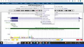 UCSC Genome browser BIOINFORMATICS (1).pptx