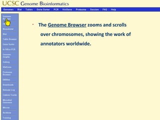 §
    The Genome Browser zooms and scrolls
    over chromosomes, showing the work of
    annotators worldwide.
 