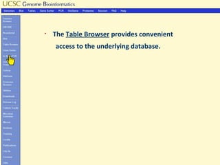 §
    The Table Browser provides convenient
    access to the underlying database.
 