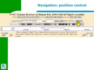 Navigation: position control
 