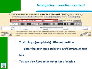Navigation: position control




§
    To display a (completely) different position

       enter the new location in the position/search text

    box
§
    You can also jump to an other gene location
 