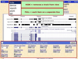 HIDE = removes a track from view



FULL = each item on a separate line
 