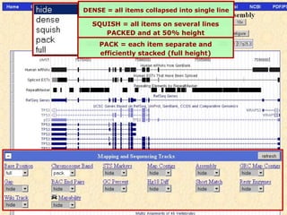 DENSE = all items collapsed into single line

  SQUISH = all items on several lines
     PACKED and at 50% height
    PACK = each item separate and
    efficiently stacked (full height)
 