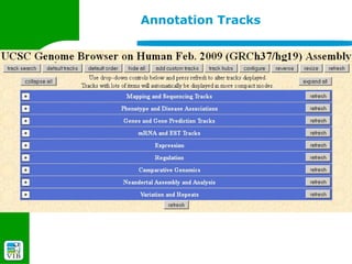 Annotation Tracks
 