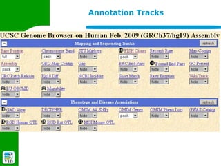 Annotation Tracks
 