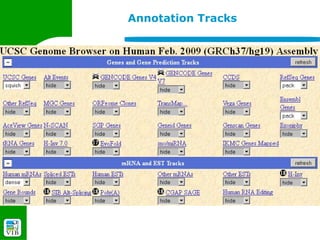 Annotation Tracks
 