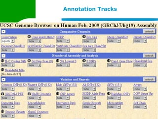 Annotation Tracks
 