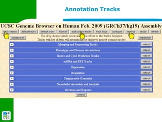 Annotation Tracks
 