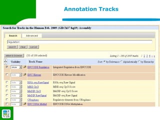 Annotation Tracks
 
