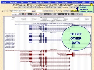 1
      CURRENT
      BROWSER
      GRAPHIC IN PDF




TO GET
OTHER
 DATA
 