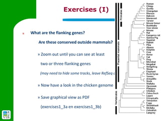 Exercises (I)


3)   What are the flanking genes?

         Are these conserved outside mammals?

        » Zoom out until you can see at least

          two or three flanking genes

         (may need to hide some tracks, leave RefSeq on)


        » Now have a look in the chicken genome

        » Save graphical view as PDF

          (exercises1_3a en exercises1_3b)
 