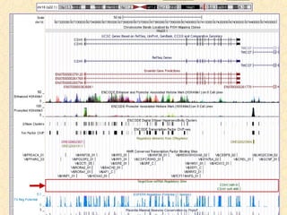 BITS: UCSC genome browser - Part 1