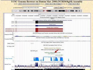 BITS: UCSC genome browser - Part 1