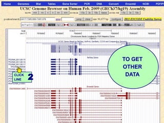 TO GET
            OTHER
CLICK
LINE    2    DATA
 