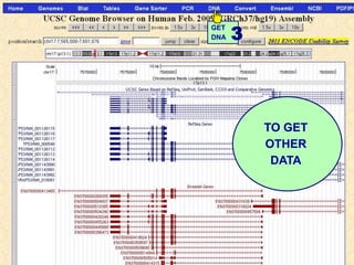 3
GET
DNA




          TO GET
          OTHER
           DATA
 