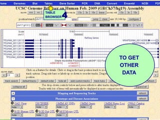 4
TABLE
BROWSER




              TO GET
              OTHER
               DATA
 