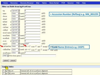 = Accession Number (RefSeq) e.g. NM_001229




= Gene Name (Entrez) e.g. CASP1
 